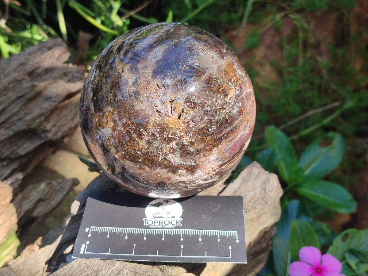 Polished Red Podocarpus Petrified Wood Spheres x 2 From Mahajanga, Madagascar - Toprock Gemstones and Minerals 