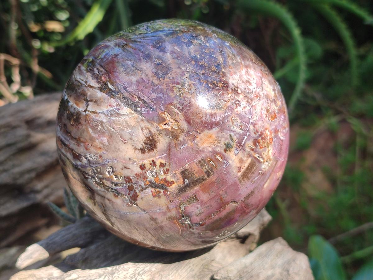 Polished Red Podocarpus Petrified Wood Spheres x 2 From Mahajanga, Madagascar - Toprock Gemstones and Minerals 