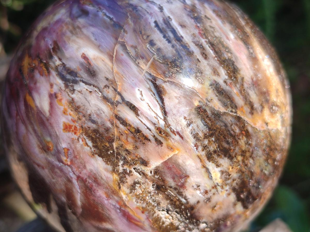 Polished Red Podocarpus Petrified Wood Spheres x 2 From Mahajanga, Madagascar - Toprock Gemstones and Minerals 