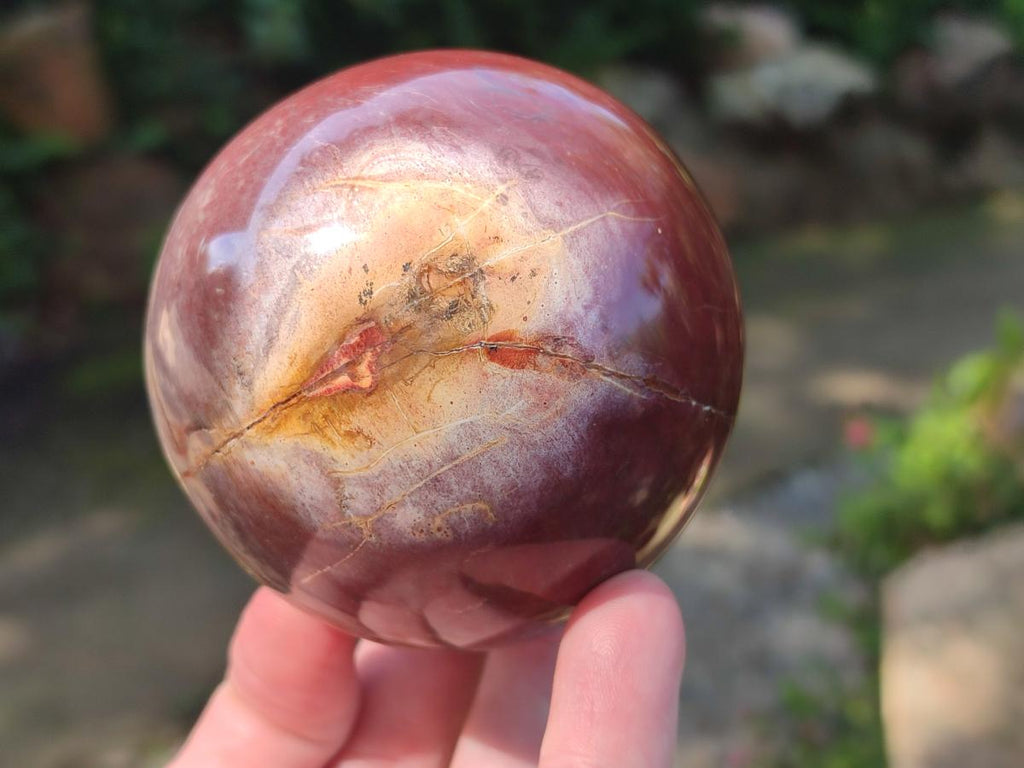 Polished Red Podocarpus Petrified Wood Spheres x 2 From Mahajanga, Madagascar - Toprock Gemstones and Minerals 