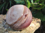 Polished Red Podocarpus Petrified Wood Spheres x 2 From Mahajanga, Madagascar - Toprock Gemstones and Minerals 