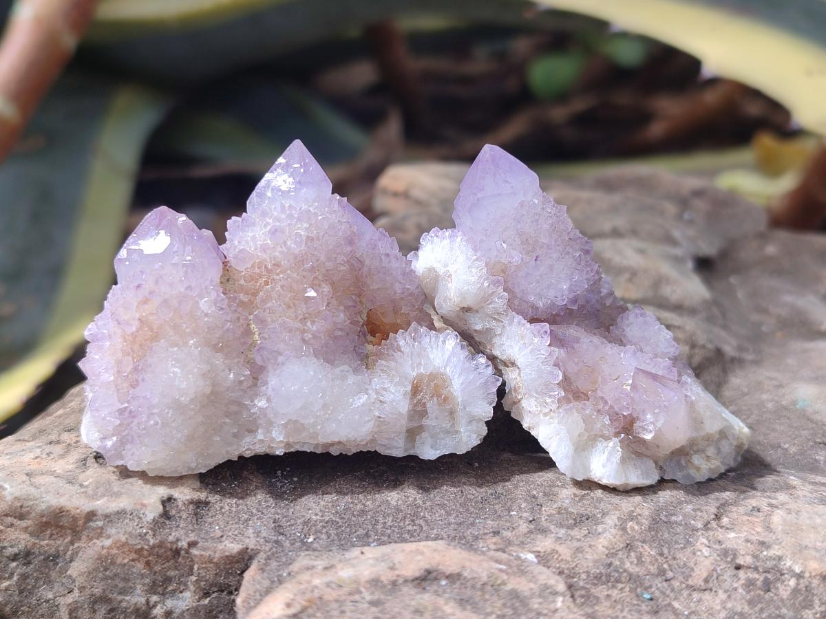 Natural Lilac Spirit Amethyst Clusters x 12 From Boekenhouthoek, South Africa - Toprock Gemstones and Minerals 