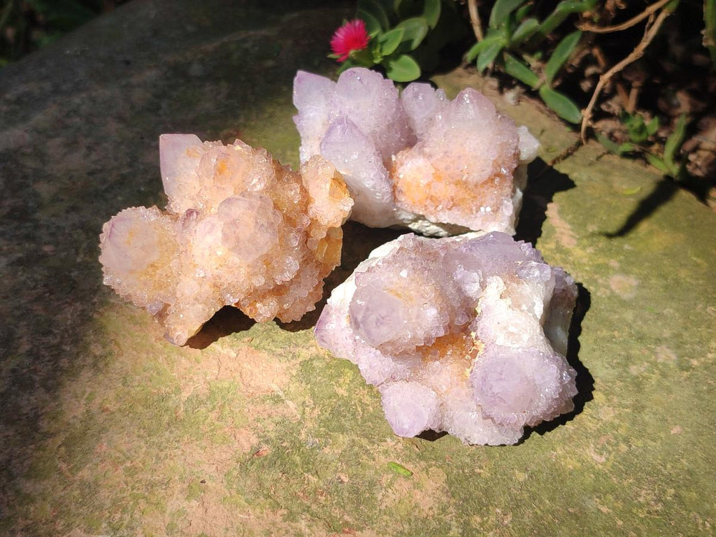 Natural Lilac Spirit Amethyst Clusters x 12 From Boekenhouthoek, South Africa - Toprock Gemstones and Minerals 