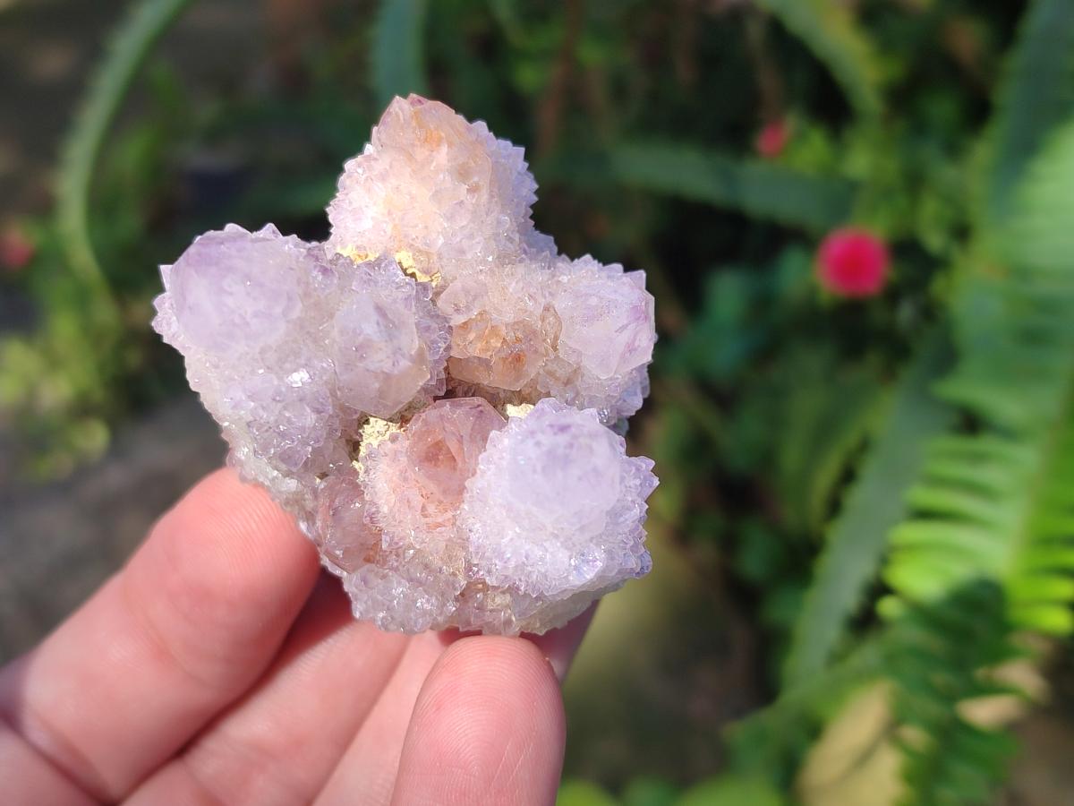 Natural Lilac Spirit Amethyst Clusters x 12 From Boekenhouthoek, South Africa - Toprock Gemstones and Minerals 