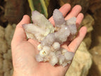 Natural Lilac Spirit Amethyst Clusters x 12 From Boekenhouthoek, South Africa - Toprock Gemstones and Minerals 