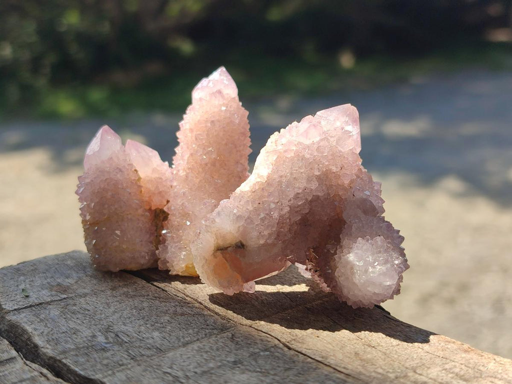 Natural Lilac Spirit Amethyst Clusters x 12 From Boekenhouthoek, South Africa - Toprock Gemstones and Minerals 
