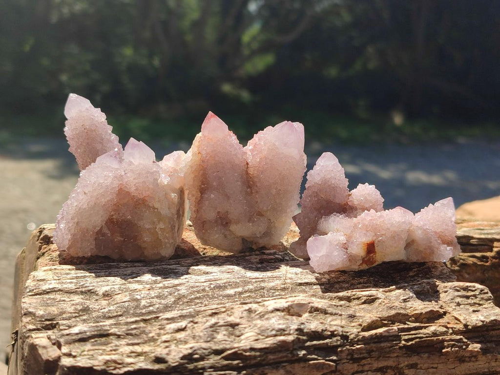 Natural Lilac Spirit Amethyst Clusters x 12 From Boekenhouthoek, South Africa - Toprock Gemstones and Minerals 