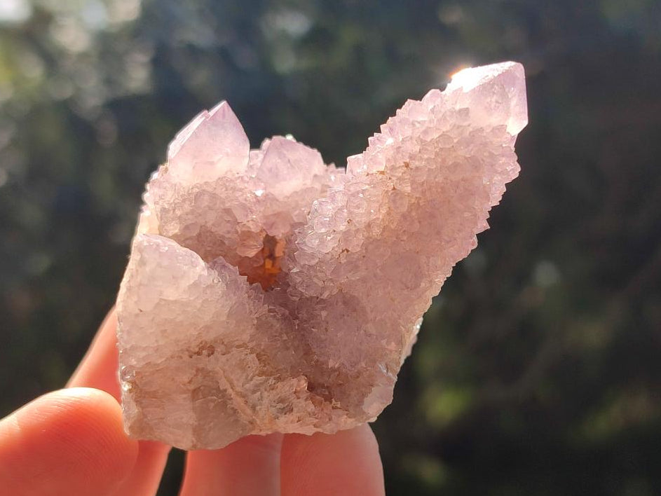 Natural Lilac Spirit Amethyst Clusters x 12 From Boekenhouthoek, South Africa - Toprock Gemstones and Minerals 