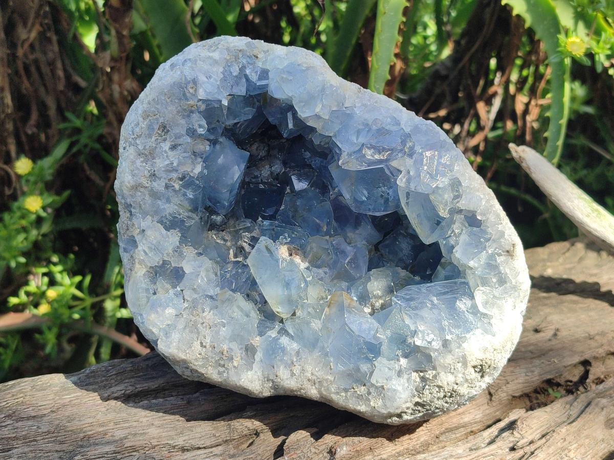 Natural Large Blue Celestite Geode Specimen x 1 From Sakoany, Madagascar - Toprock Gemstones and Minerals 