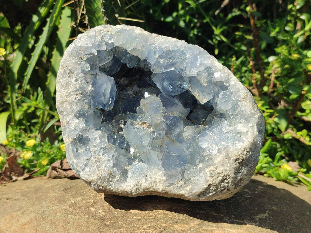 Natural Large Blue Celestite Geode Specimen x 1 From Sakoany, Madagascar - Toprock Gemstones and Minerals 