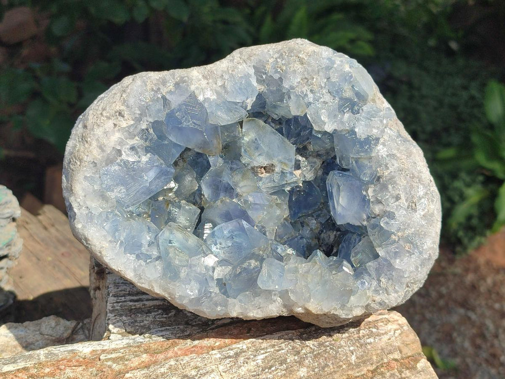 Natural Large Blue Celestite Geode Specimen x 1 From Sakoany, Madagascar - Toprock Gemstones and Minerals 