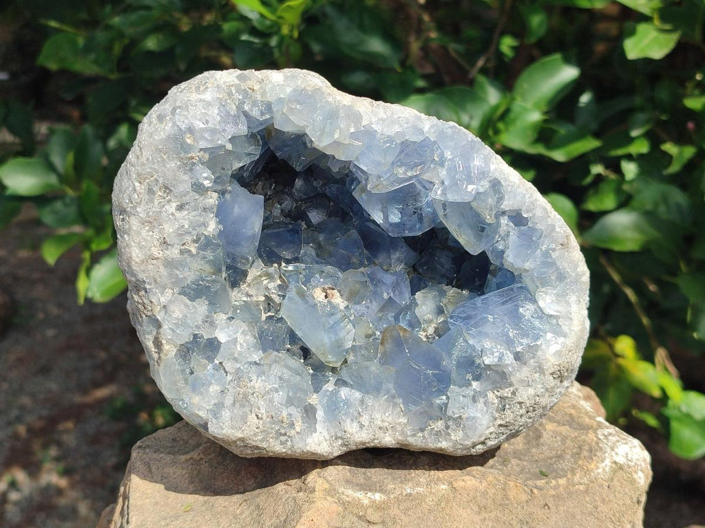 Natural Large Blue Celestite Geode Specimen x 1 From Sakoany, Madagascar - Toprock Gemstones and Minerals 