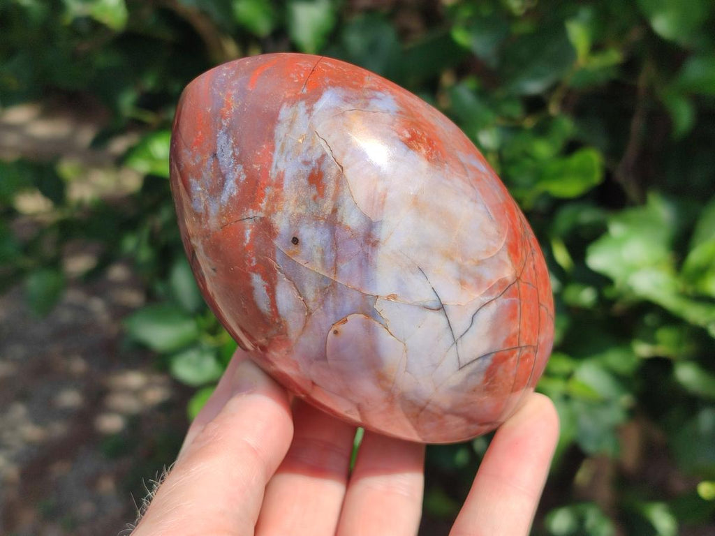 Polished Red Jasper Standing Free Forms x 3 From Madagascar - Toprock Gemstones and Minerals 