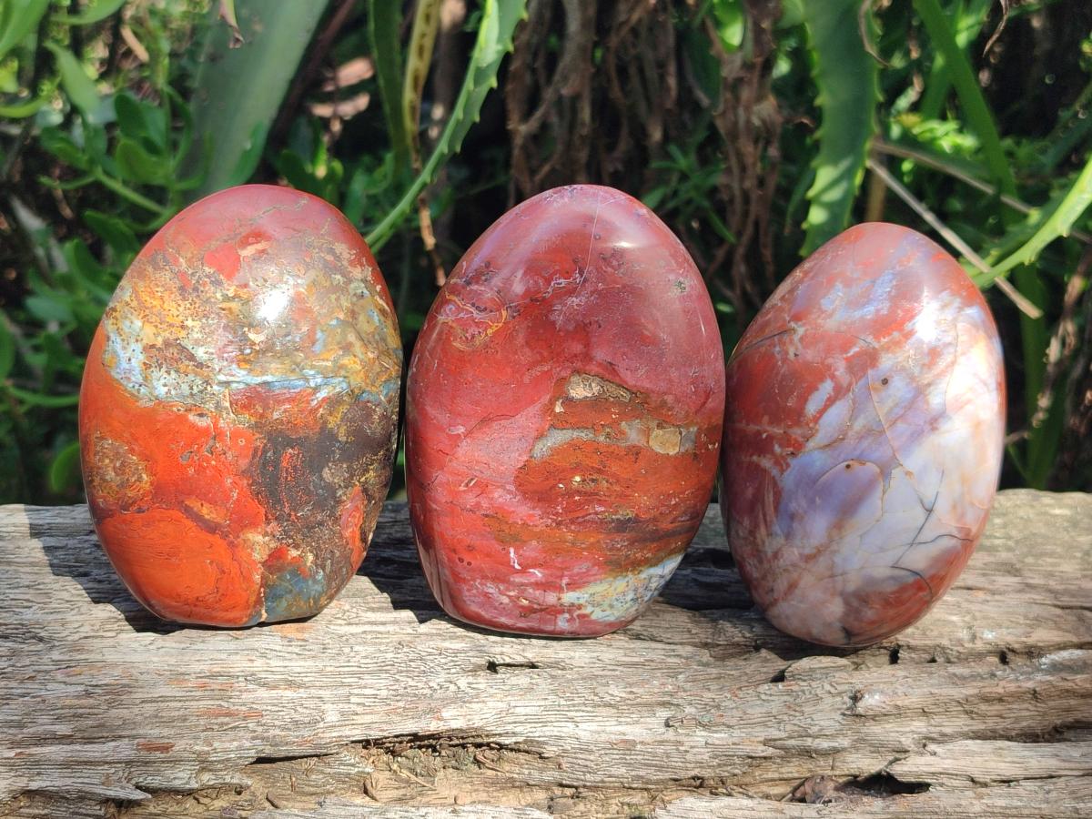 Polished Red Jasper Standing Free Forms x 3 From Madagascar - Toprock Gemstones and Minerals 