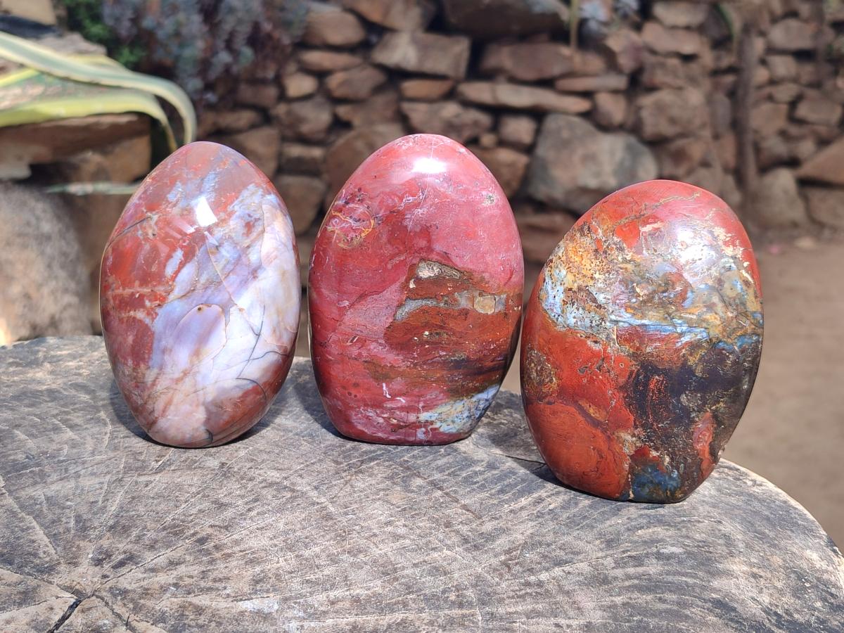 Polished Red Jasper Standing Free Forms x 3 From Madagascar - Toprock Gemstones and Minerals 