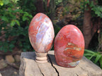 Polished Red Jasper Standing Free Forms x 3 From Madagascar - Toprock Gemstones and Minerals 