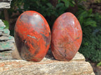 Polished Red Jasper Standing Free Forms x 3 From Madagascar - Toprock Gemstones and Minerals 