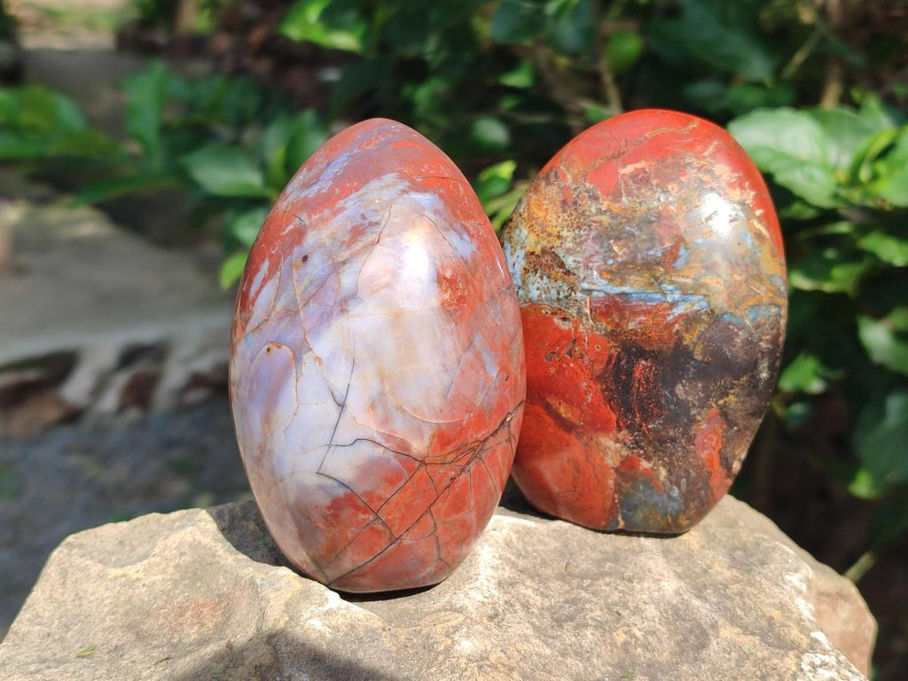 Polished Red Jasper Standing Free Forms x 3 From Madagascar - Toprock Gemstones and Minerals 