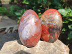 Polished Red Jasper Standing Free Forms x 3 From Madagascar - Toprock Gemstones and Minerals 