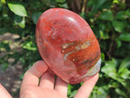 Polished Red Jasper Standing Free Forms x 3 From Madagascar - Toprock Gemstones and Minerals 