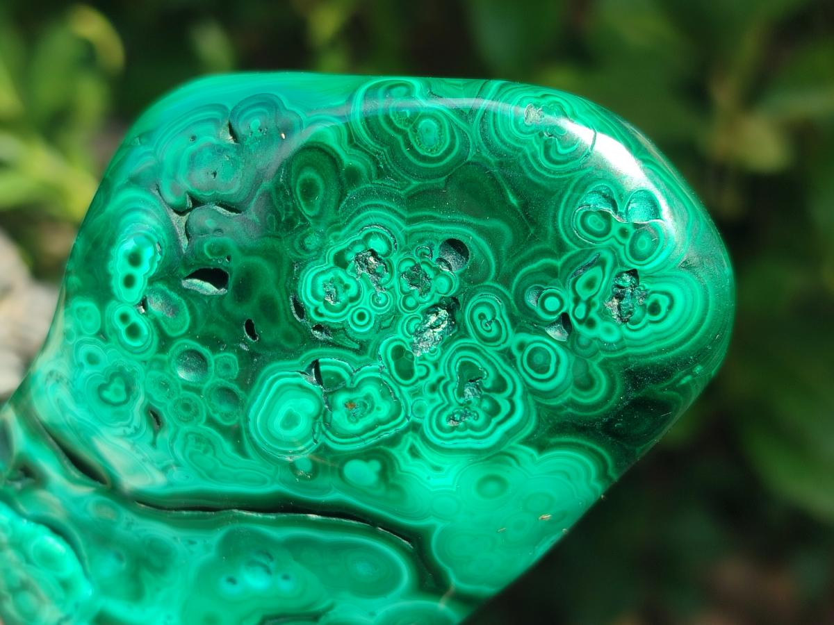 Polished Flower Banded Malachite Free Forms x 6 From Congo - Toprock Gemstones and Minerals 