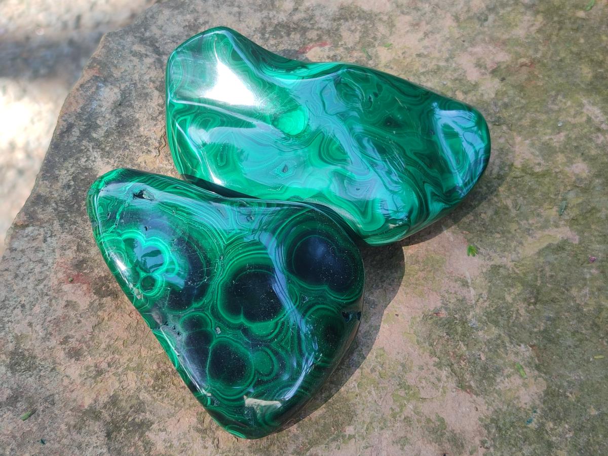 Polished Flower Banded Malachite Free Forms x 6 From Congo - Toprock Gemstones and Minerals 