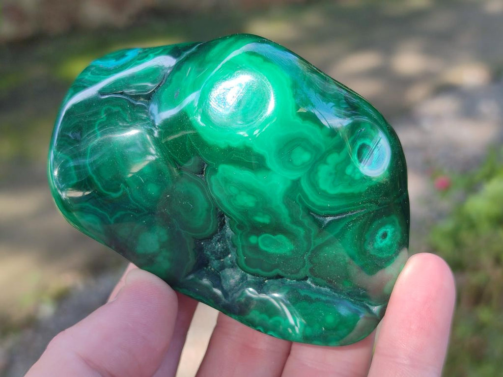 Polished Flower Banded Malachite Free Forms x 6 From Congo - Toprock Gemstones and Minerals 