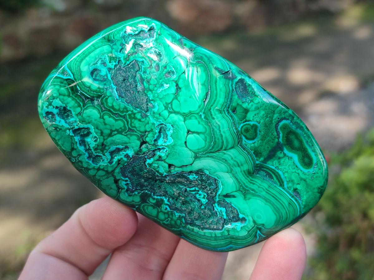 Polished Flower Banded Malachite Free Forms x 6 From Congo - Toprock Gemstones and Minerals 