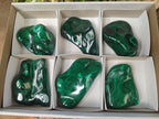 Polished Flower Banded Malachite Free Forms x 6 From Congo - Toprock Gemstones and Minerals 