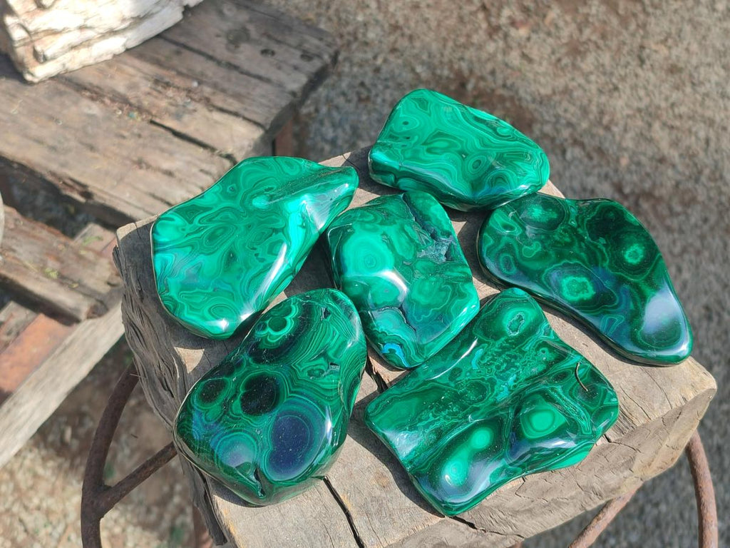 Polished Flower Banded Malachite Free Forms x 6 From Congo - Toprock Gemstones and Minerals 