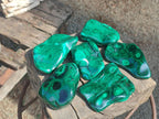 Polished Flower Banded Malachite Free Forms x 6 From Congo - Toprock Gemstones and Minerals 