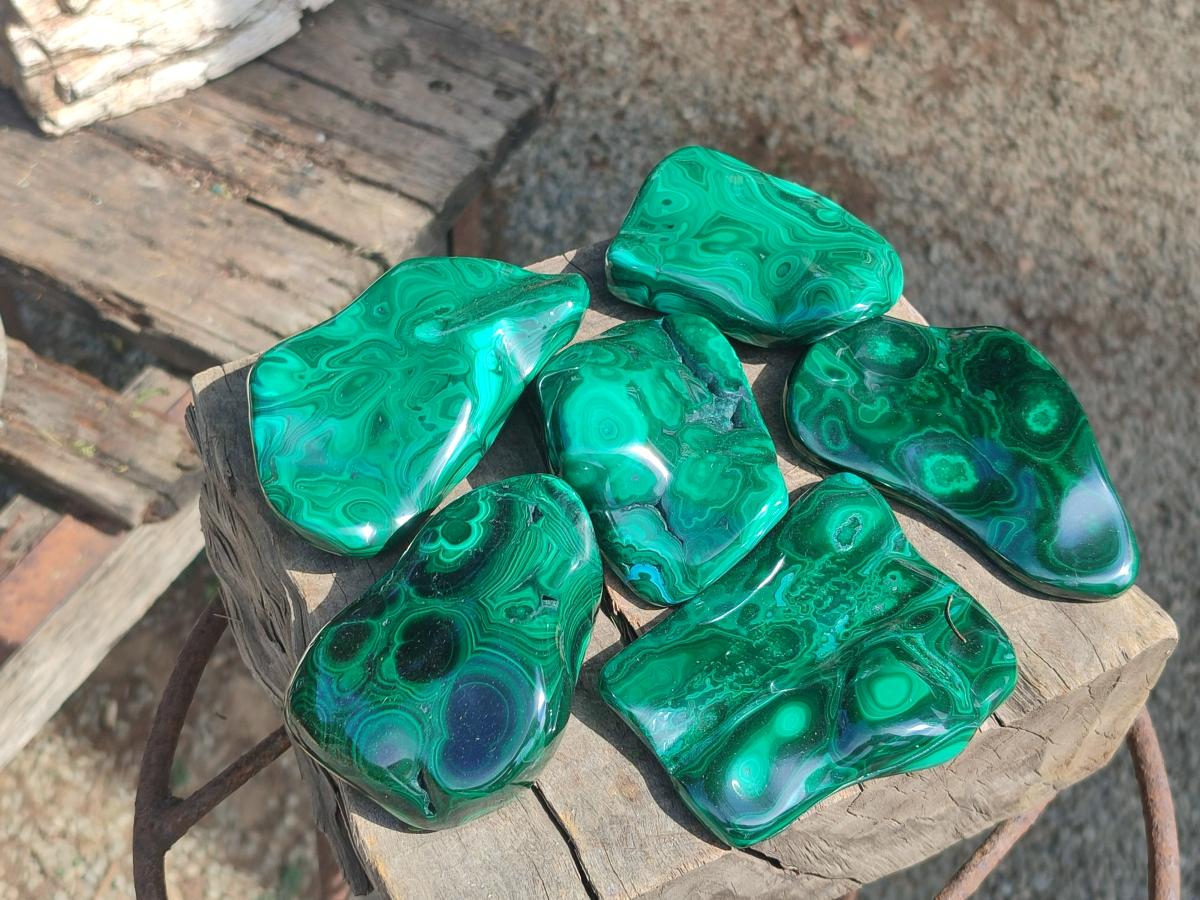 Polished Flower Banded Malachite Free Forms x 6 From Congo - Toprock Gemstones and Minerals 
