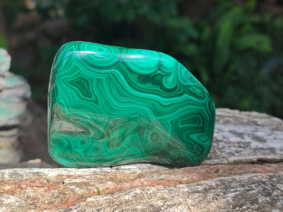 Polished Flower Banded Malachite Free Forms x 6 From Congo - Toprock Gemstones and Minerals 