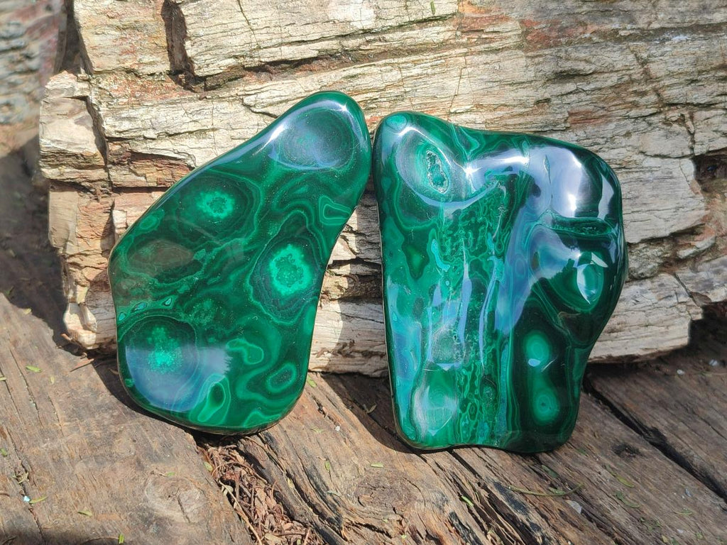 Polished Flower Banded Malachite Free Forms x 6 From Congo - Toprock Gemstones and Minerals 