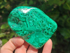Polished Flower Banded Malachite Free Forms x 6 From Congo - Toprock Gemstones and Minerals 
