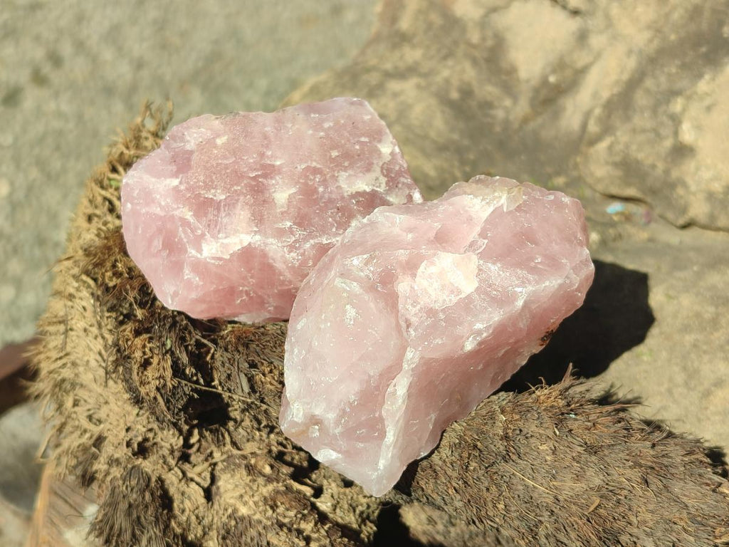 Natural Cobbed Rose Quartz Specimens x 24 From Northern Cape, South Africa - Toprock Gemstones and Minerals 
