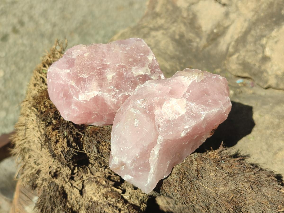 Natural Cobbed Rose Quartz Specimens x 24 From Northern Cape, South Africa - Toprock Gemstones and Minerals 