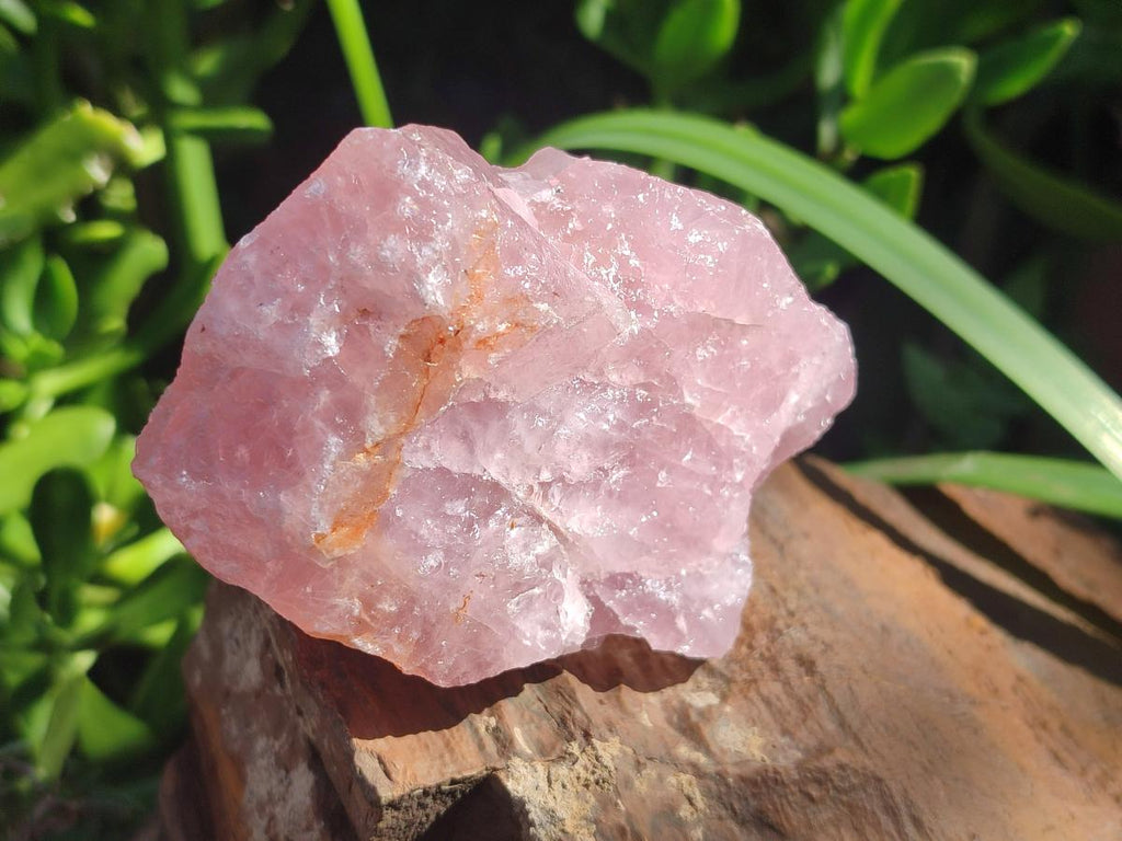 Natural Cobbed Rose Quartz Specimens x 24 From Northern Cape, South Africa - Toprock Gemstones and Minerals 