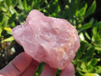 Natural Cobbed Rose Quartz Specimens x 24 From Northern Cape, South Africa - Toprock Gemstones and Minerals 