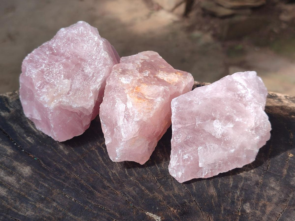 Natural Cobbed Rose Quartz Specimens x 24 From Northern Cape, South Africa - Toprock Gemstones and Minerals 