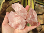 Natural Cobbed Rose Quartz Specimens x 24 From Northern Cape, South Africa - Toprock Gemstones and Minerals 