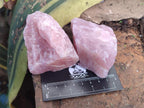 Natural Cobbed Rose Quartz Specimens x 24 From Northern Cape, South Africa - Toprock Gemstones and Minerals 