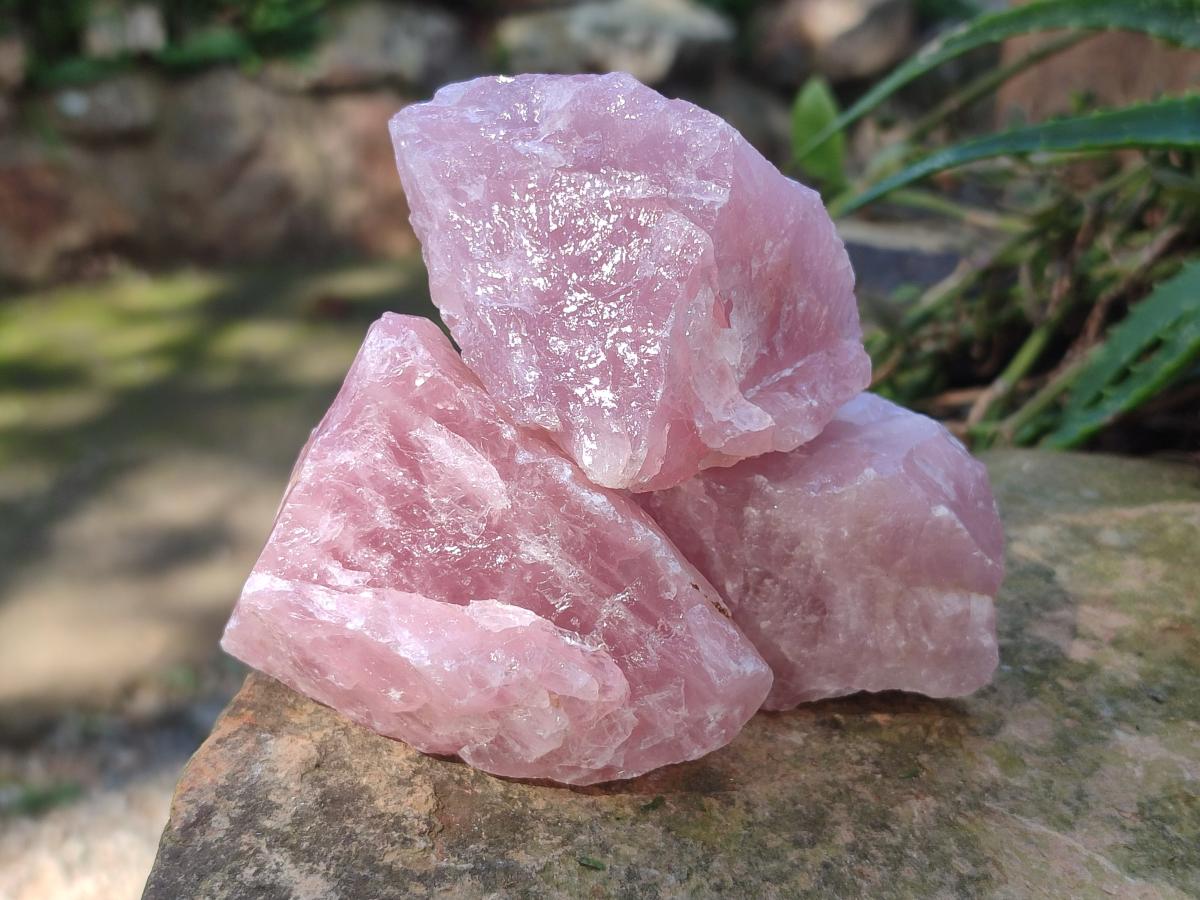 Natural Cobbed Rose Quartz Specimens x 24 From Northern Cape, South Africa - Toprock Gemstones and Minerals 