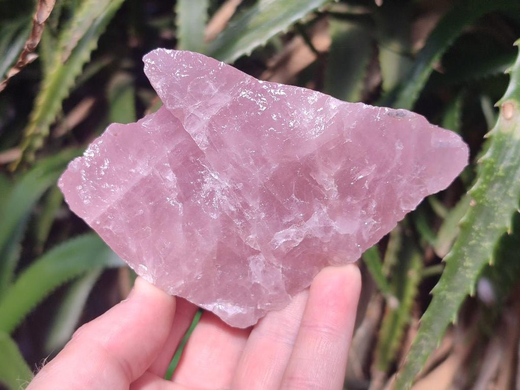 Natural Cobbed Rose Quartz Specimens x 24 From Northern Cape, South Africa - Toprock Gemstones and Minerals 