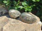 Polished Basalt Pharaoh Stone Free Forms x 12 From Iron Duke Mine, Zimbabwe - Toprock Gemstones and Minerals 