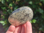 Polished Basalt Pharaoh Stone Free Forms x 12 From Iron Duke Mine, Zimbabwe - Toprock Gemstones and Minerals 