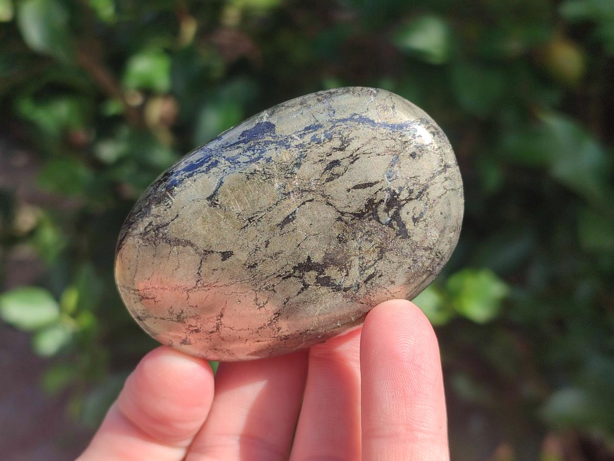 Polished Basalt Pharaoh Stone Free Forms x 12 From Iron Duke Mine, Zimbabwe - Toprock Gemstones and Minerals 