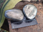 Polished Basalt Pharaoh Stone Free Forms x 12 From Iron Duke Mine, Zimbabwe - Toprock Gemstones and Minerals 
