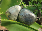 Polished Basalt Pharaoh Stone Free Forms x 12 From Iron Duke Mine, Zimbabwe - Toprock Gemstones and Minerals 