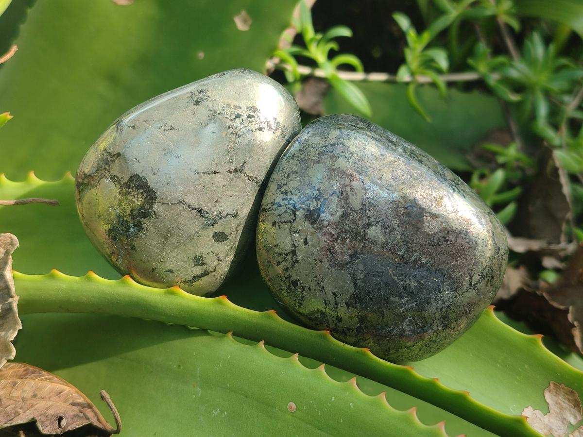 Polished Basalt Pharaoh Stone Free Forms x 12 From Iron Duke Mine, Zimbabwe - Toprock Gemstones and Minerals 